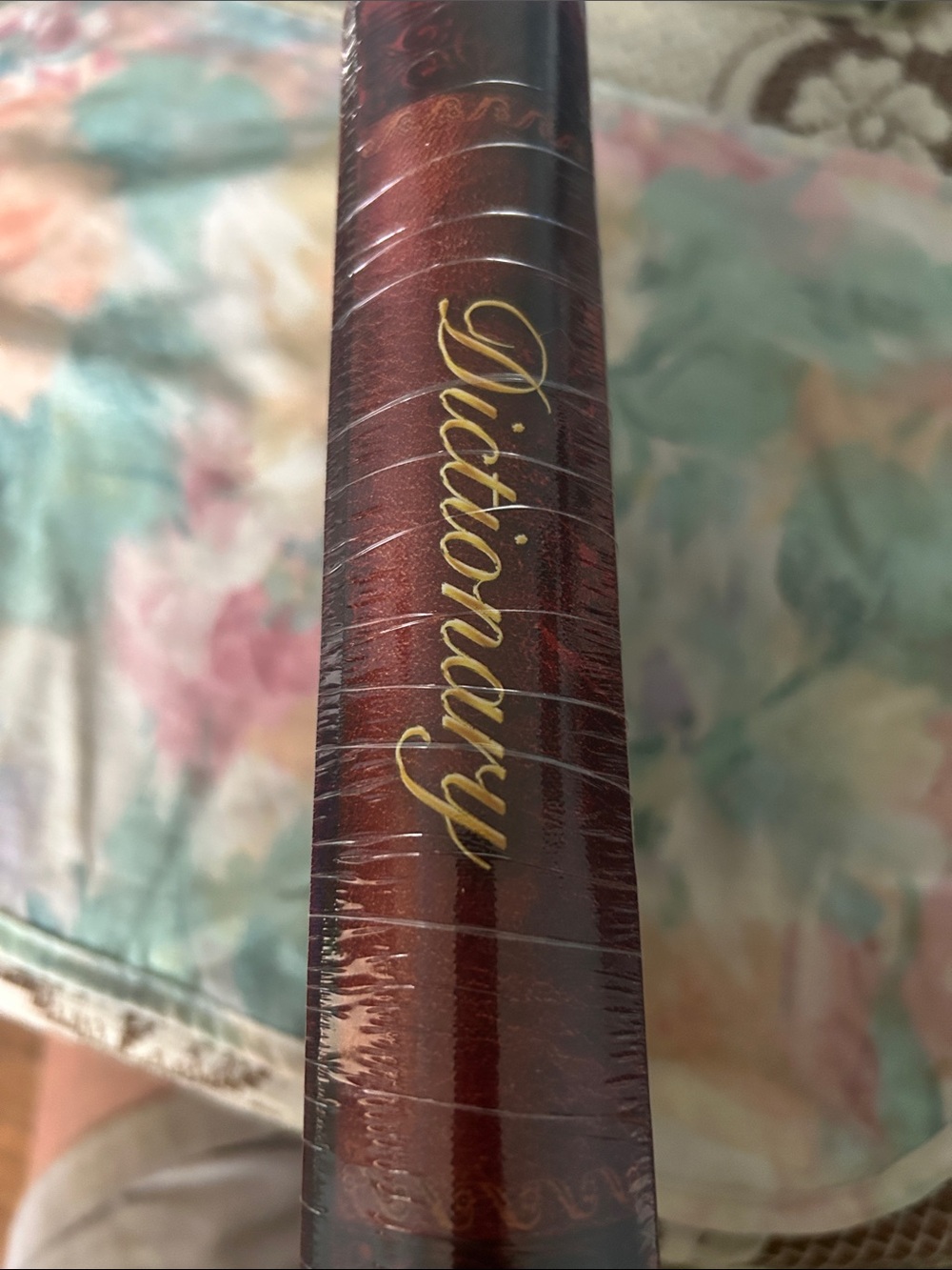 Dictionary Magnetic Book Safe - Brown - Picture 3 of 4